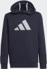 Adidas Future Icons 3 Stripes Hoodie online kopen